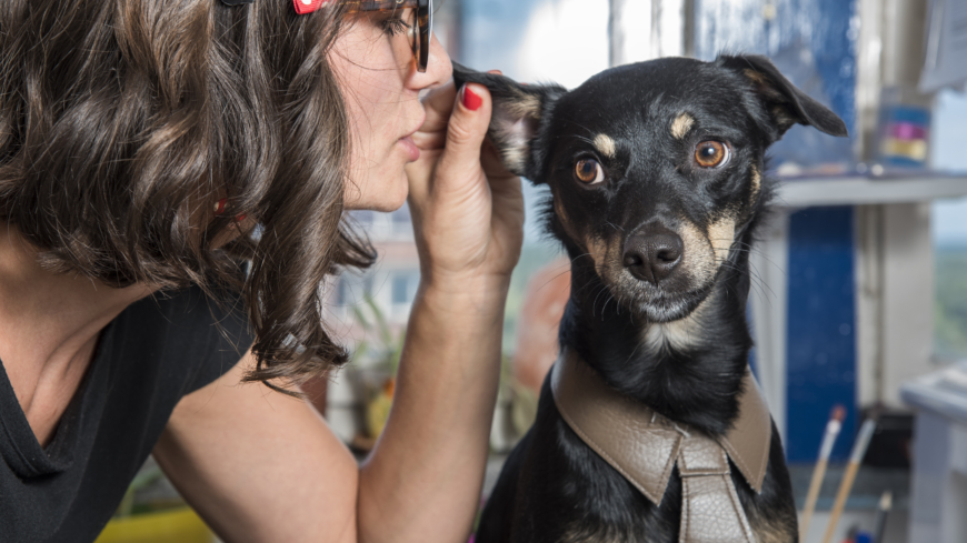 Det är viktigt att som hundägare känna sig fram när det kommer till hundpsykologer.  Foto: Shutterstock